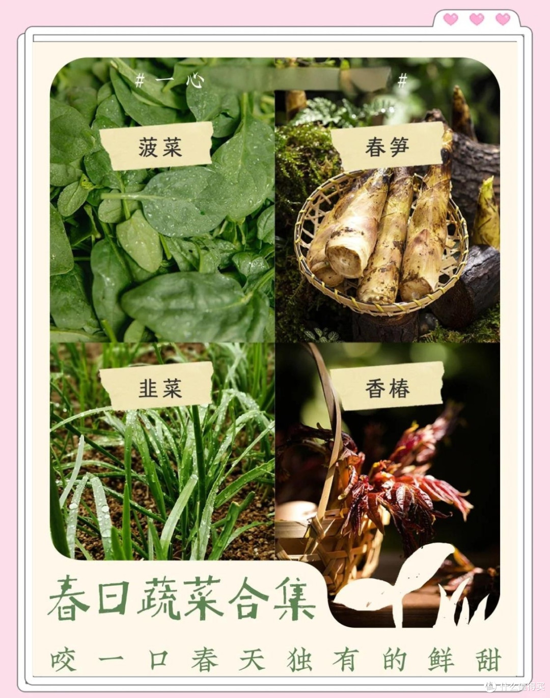 春日舌尖探秘!菜市场与超市里的时令蔬果盛宴