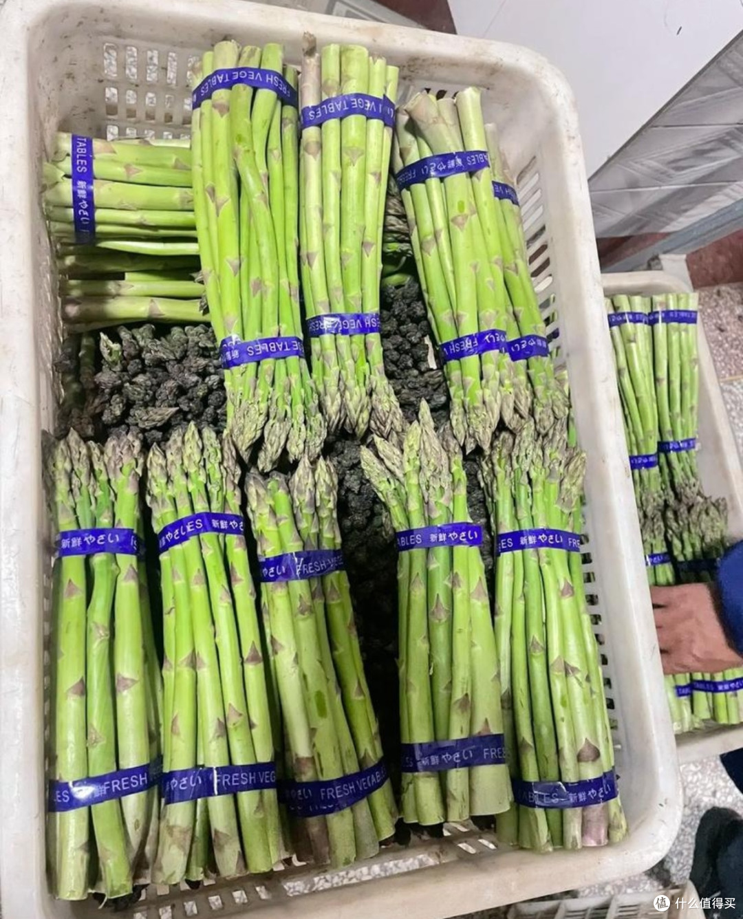 春日舌尖探秘!菜市场与超市里的时令蔬果盛宴