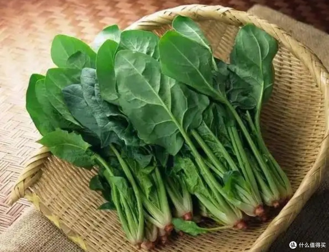 春日舌尖探秘!菜市场与超市里的时令蔬果盛宴