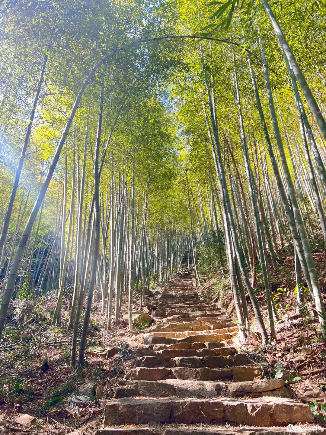 颅鸟山徒步14KM大环线!