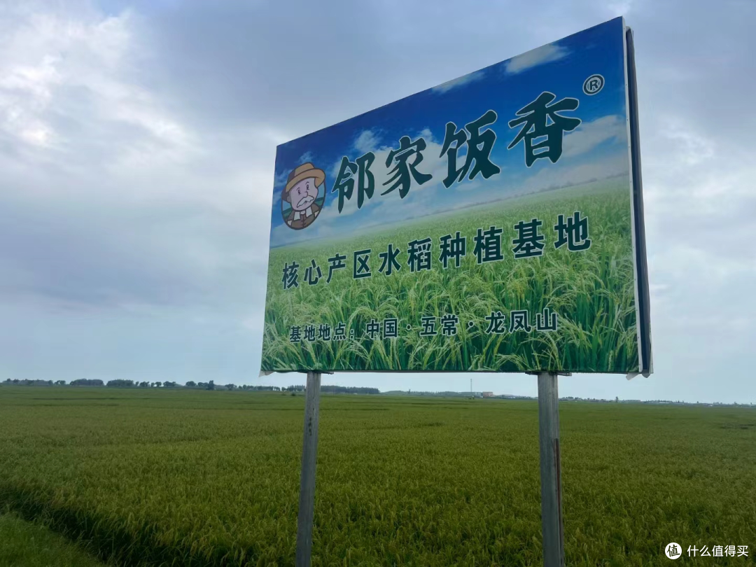 五常大米需要多久才能收割