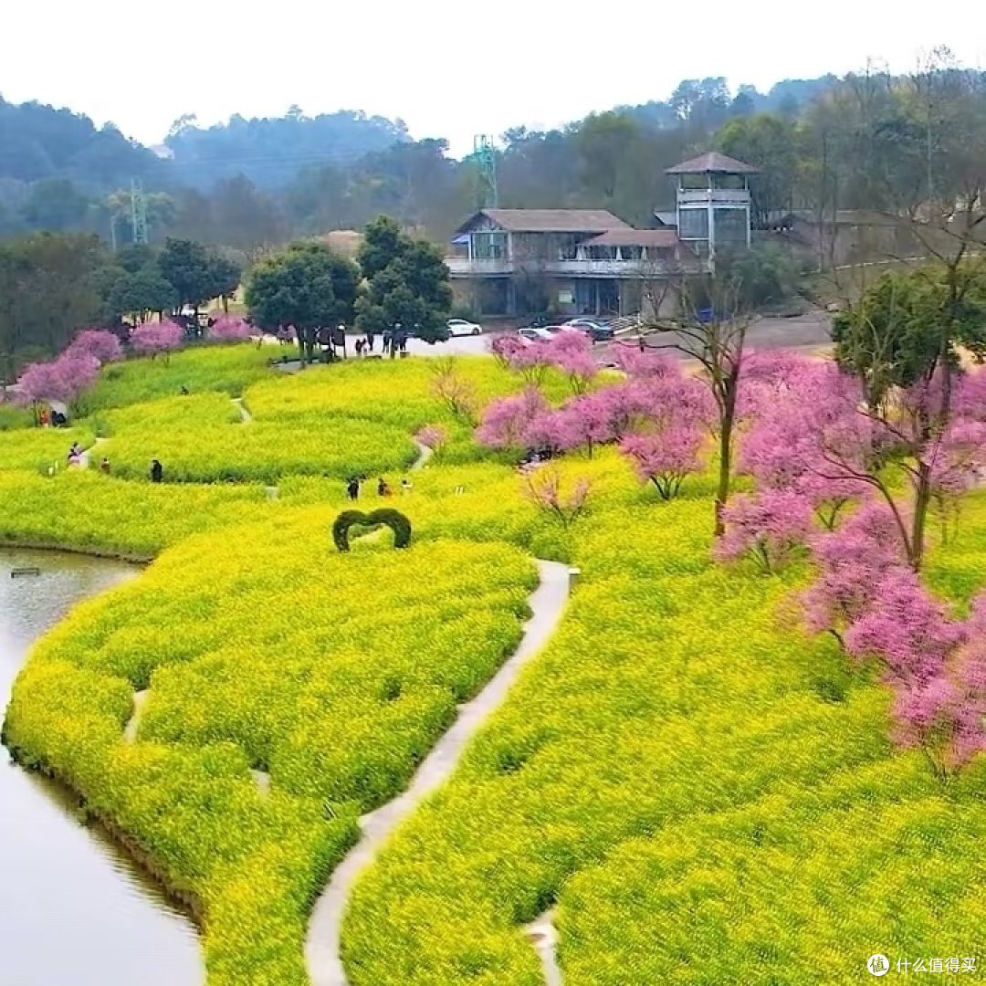 🌼重庆周边1.5h直达闯入花园