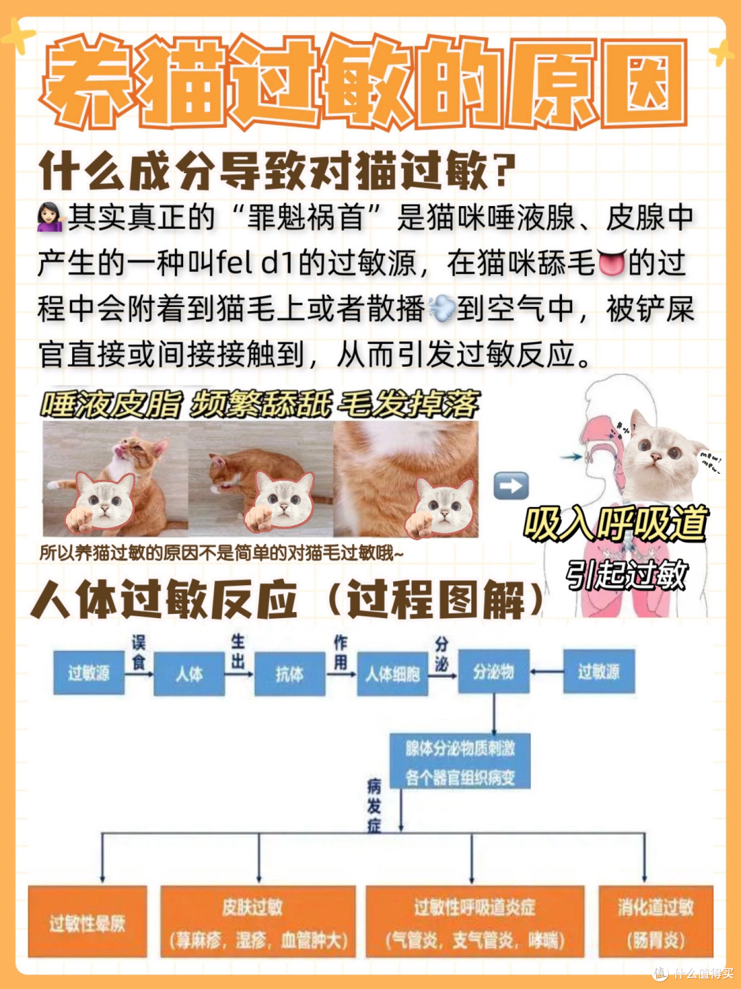 破解猫毛过敏难题,洛卫家让“过敏患者”回归健康生活?