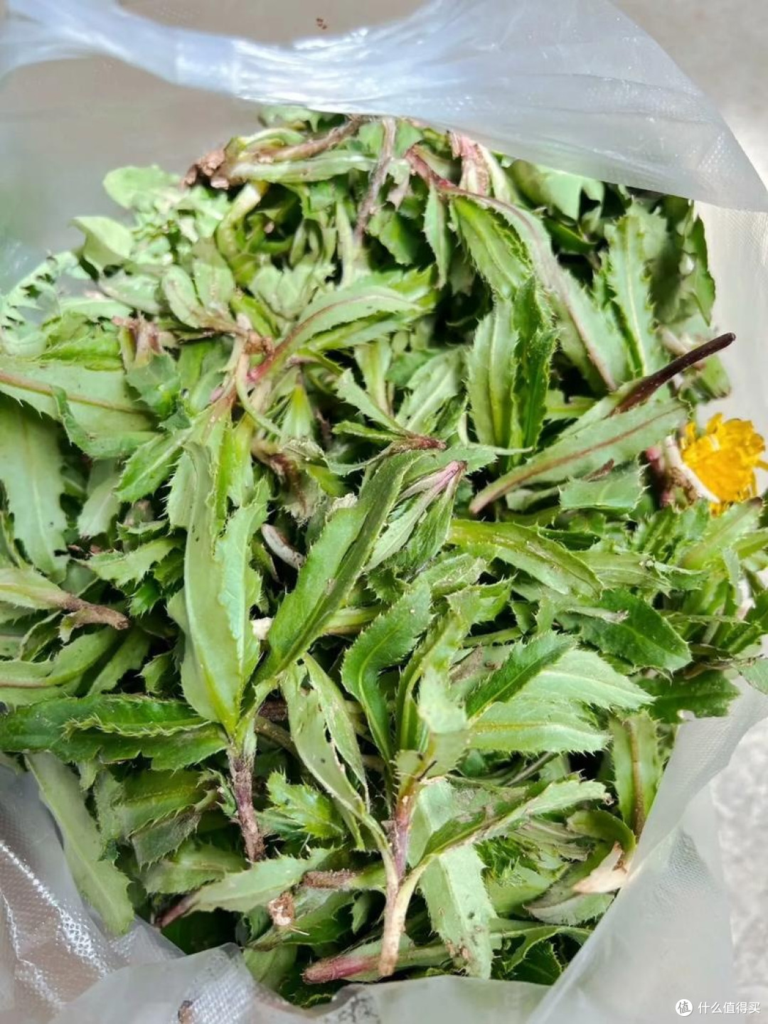 春季饮食误区,别再傻傻补补补