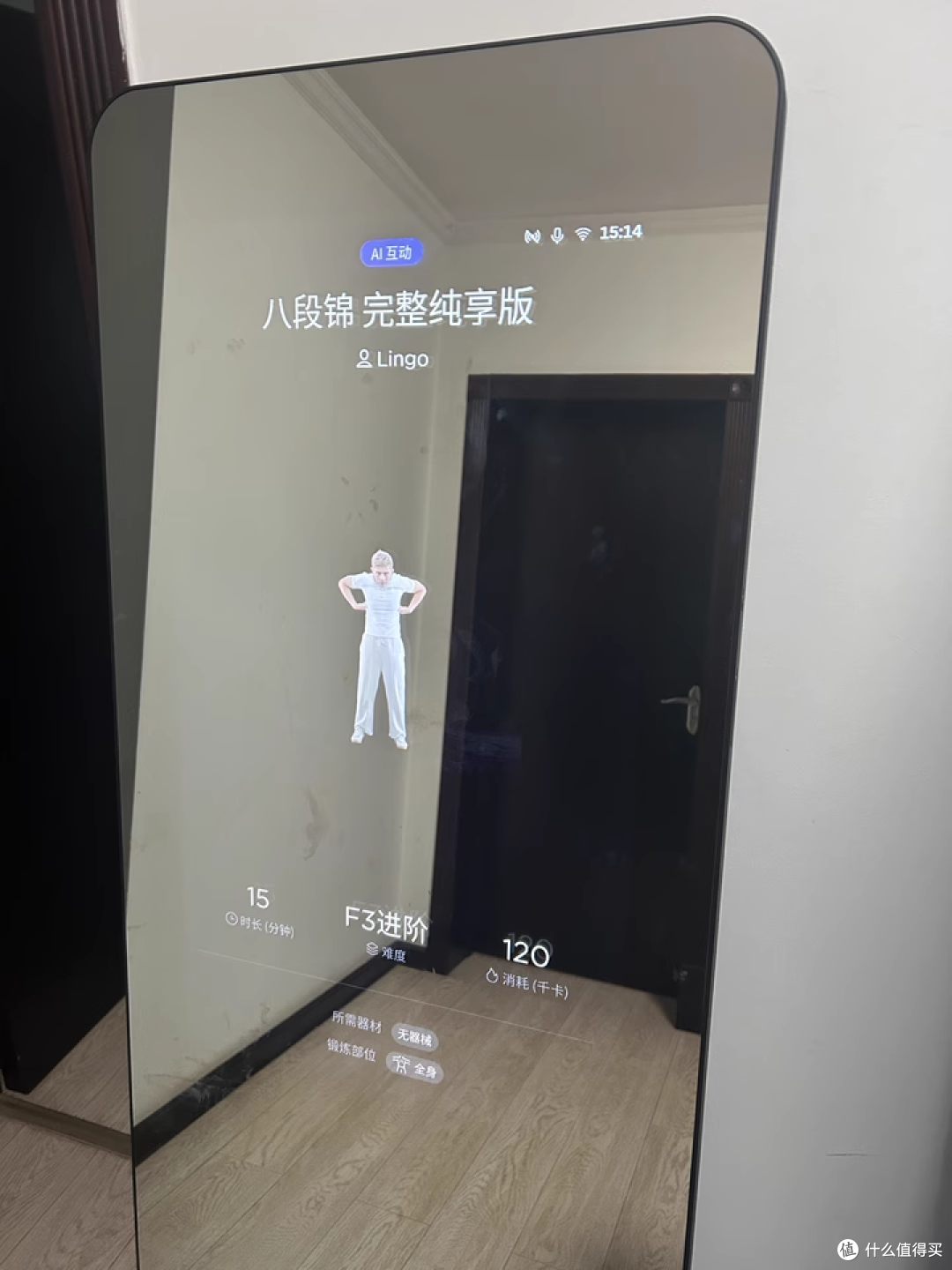 FITURE魔镜Pro，减肥神器！一起变美，开心买买买_运动器材_什么值得买