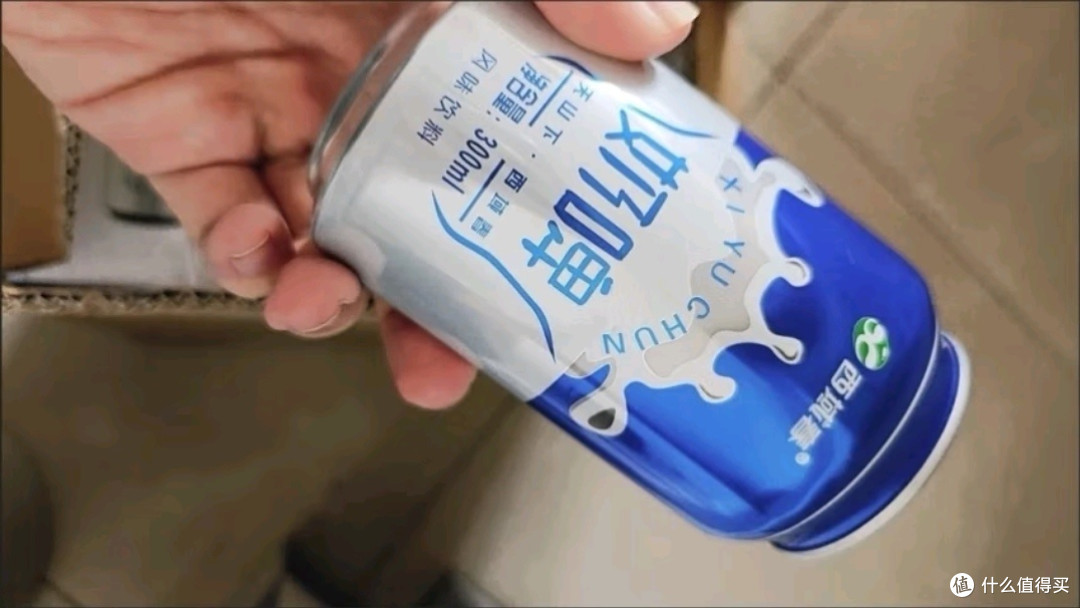 聚会畅饮的绝佳选择,乳酸菌饮料风味奶的新奇体验!