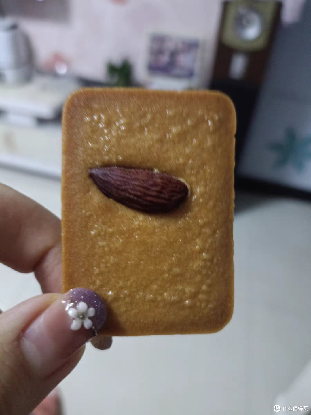 坚果蛋糕干，阿甘的最爱？
