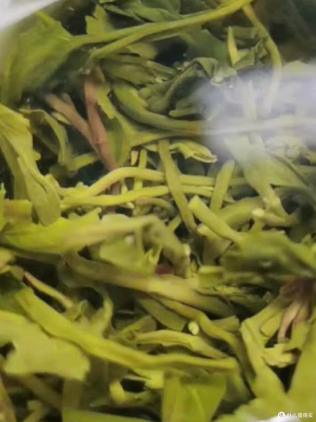 高山云雾间的味觉修行:陈一凡明前绿茶