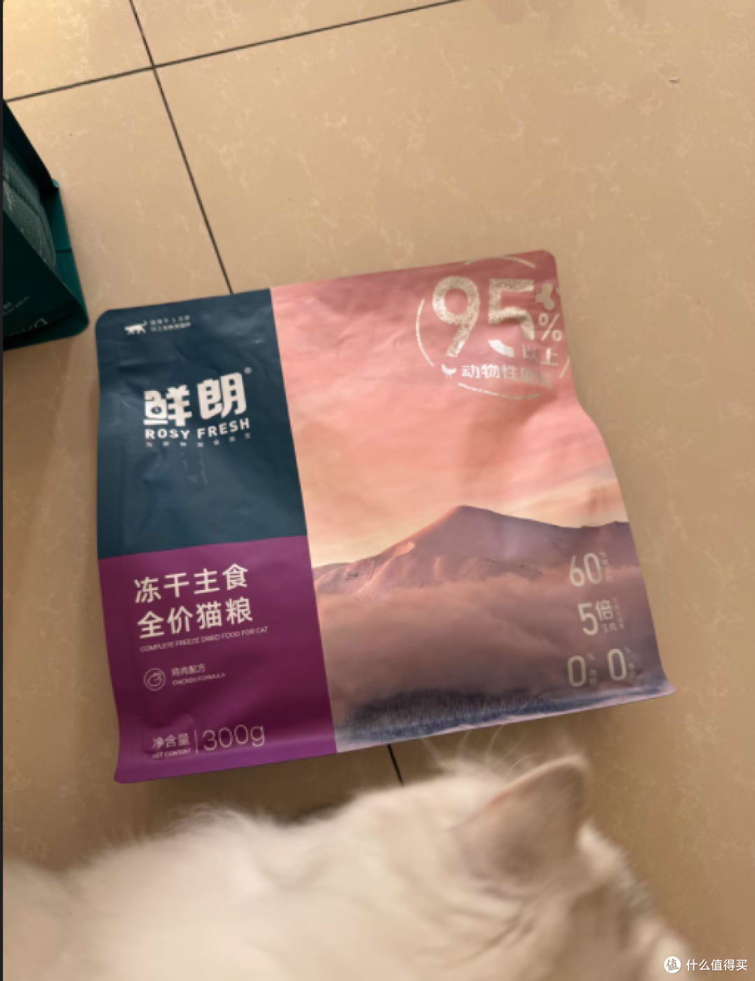 一口冻干,双倍快乐,鲜朗主食冻干太懂猫咪啦!