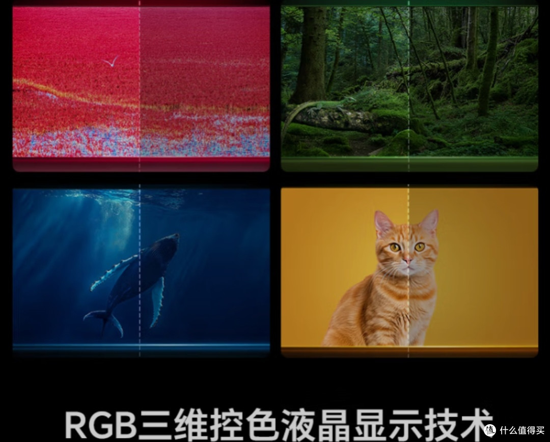 AWE 2025:家电与消费电子新品的璀璨盛会