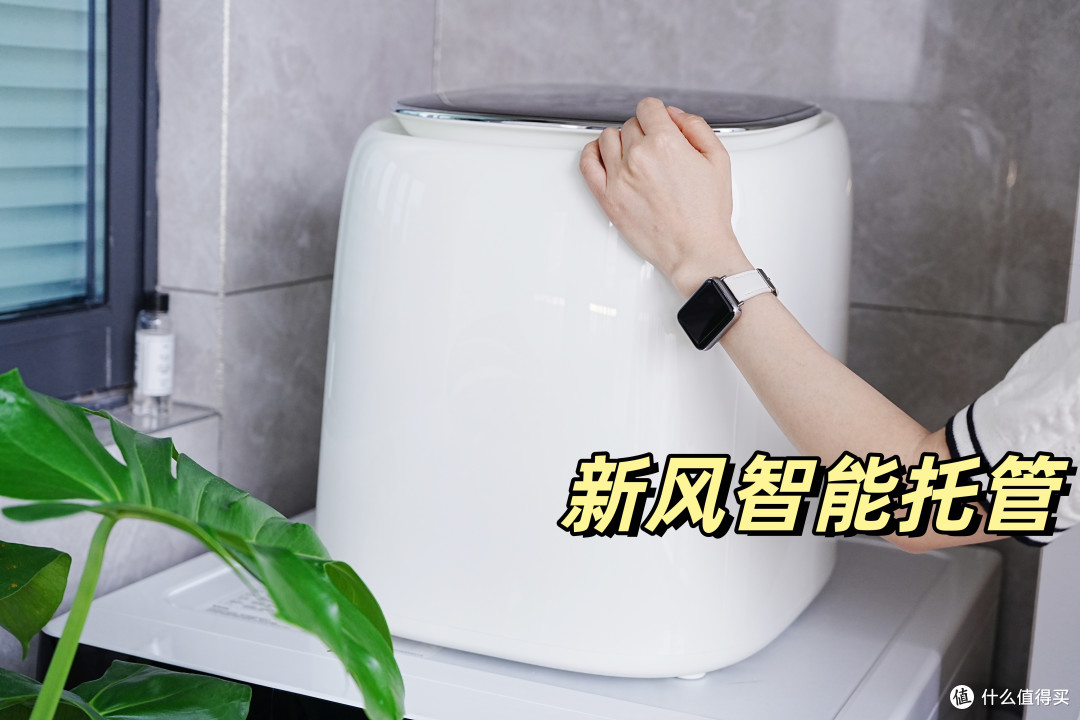 告别手搓内衣 我的私密健康管家 小吉1KG台面内衣洗衣机
