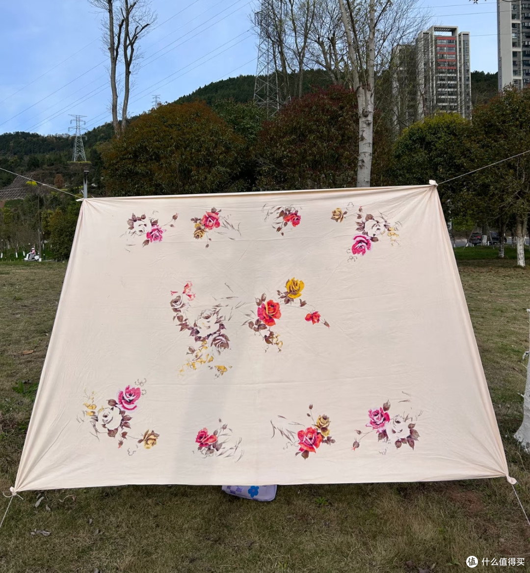春季露营,谁还买装备啊,这些“免费平替”可把我用爽了!