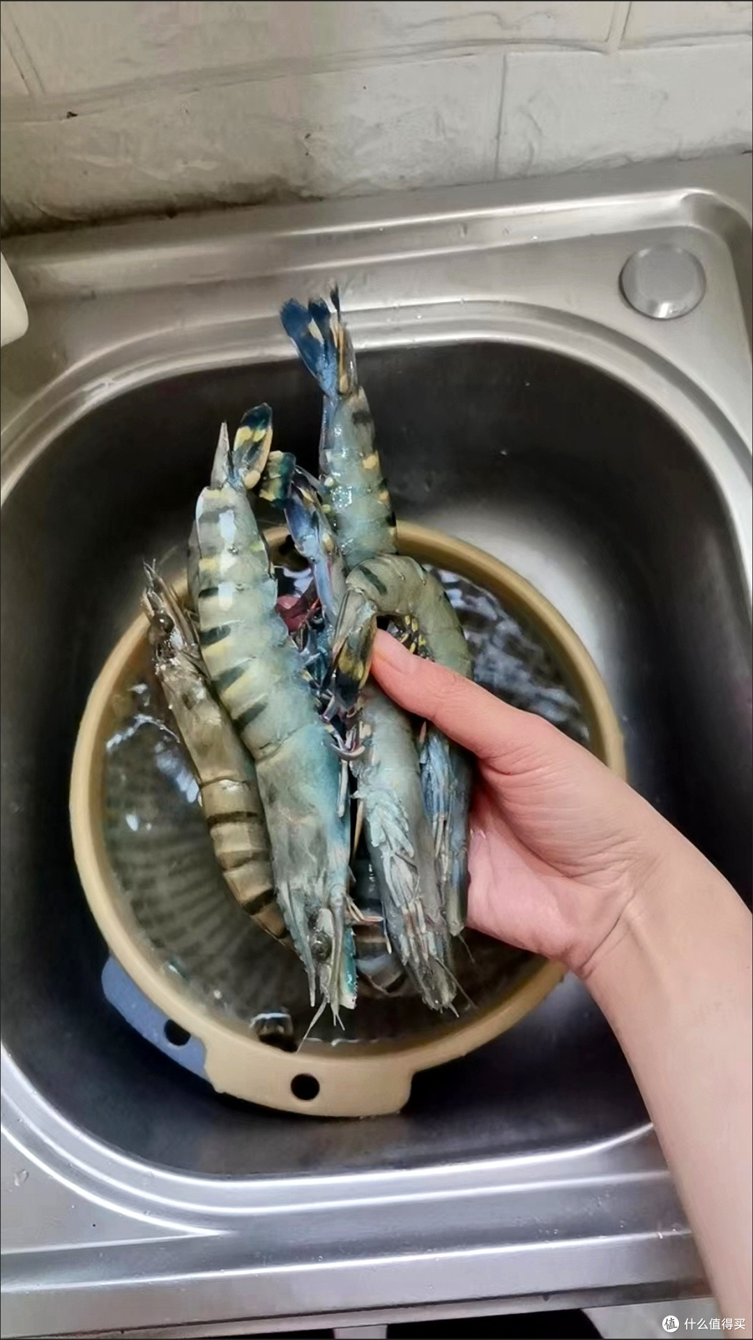 潜力作者激励计划,健康饮食低脂营养