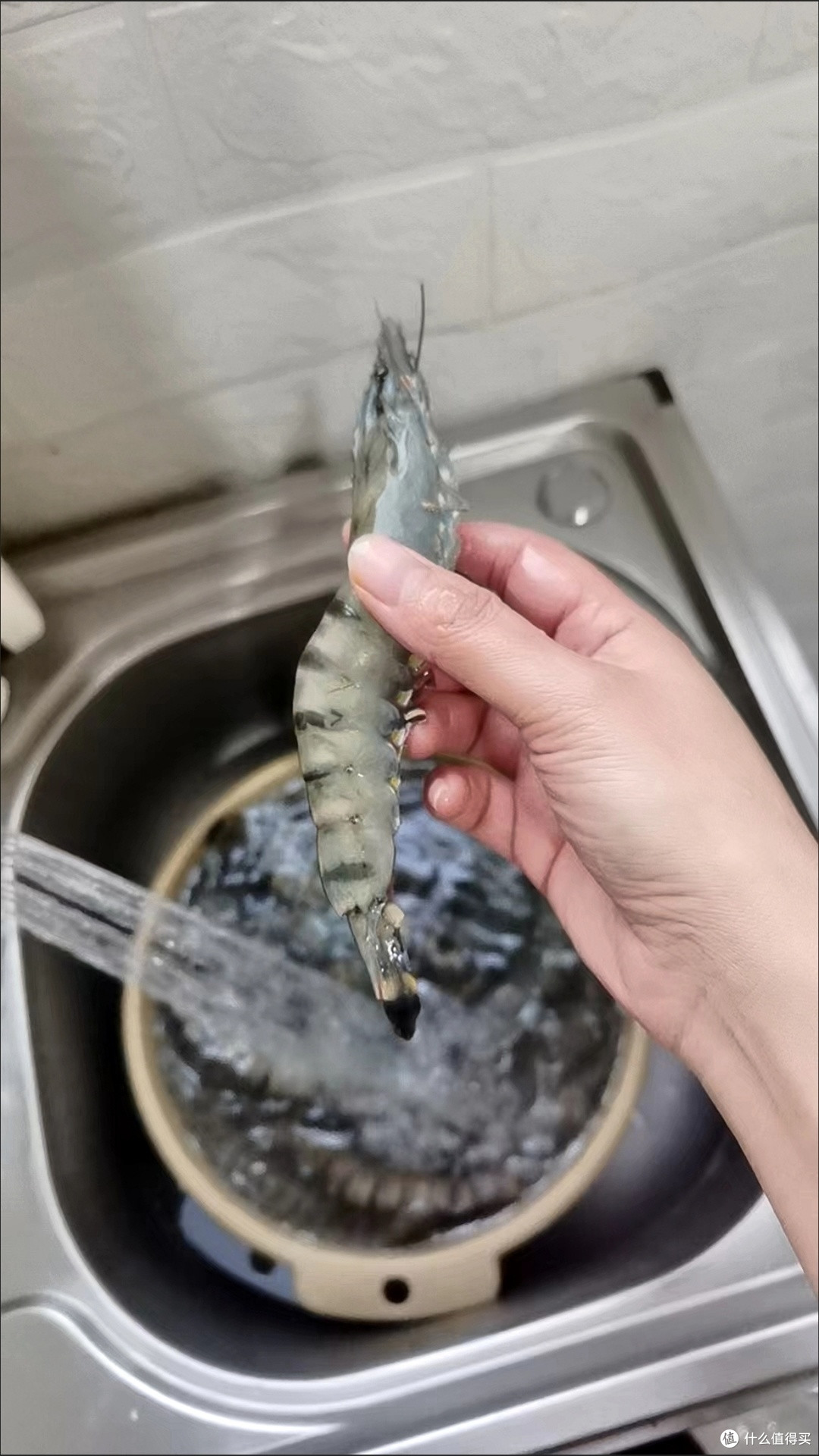 潜力作者激励计划,健康饮食低脂营养