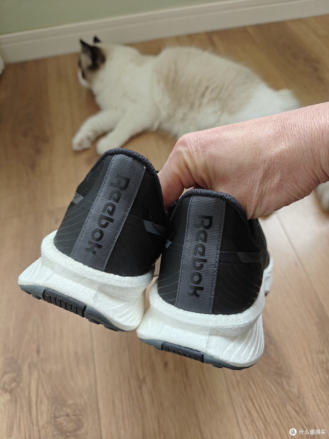 一百出头真香！真冷门非流跑鞋Reebok Floatride Energy 5