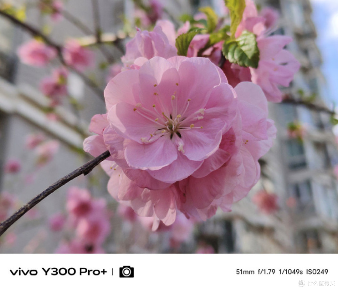 vivo Y300 Pro+评测 7300mAh电池再无续航焦虑