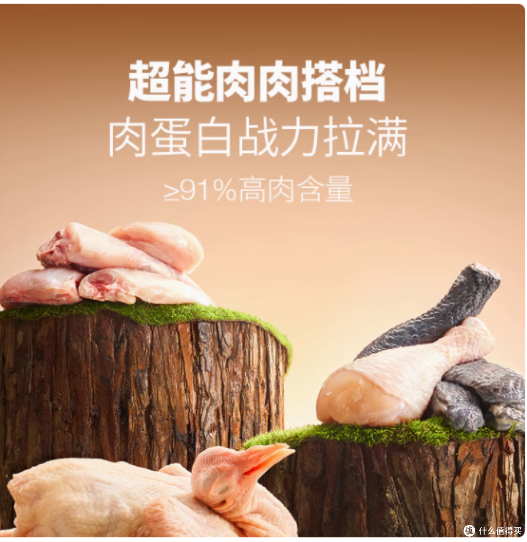 布兰德猫咪主食罐头:全价营养,成幼猫的理想美食