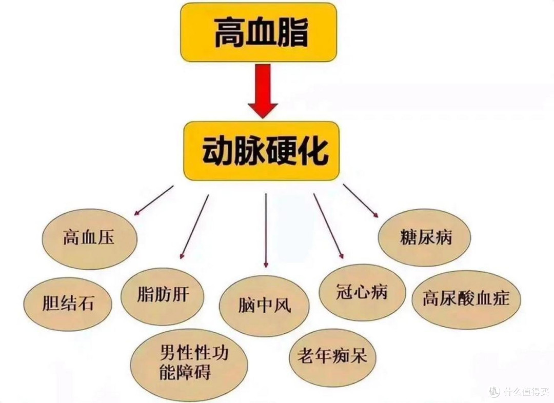 警惕!高血脂正悄然侵蚀你的健康