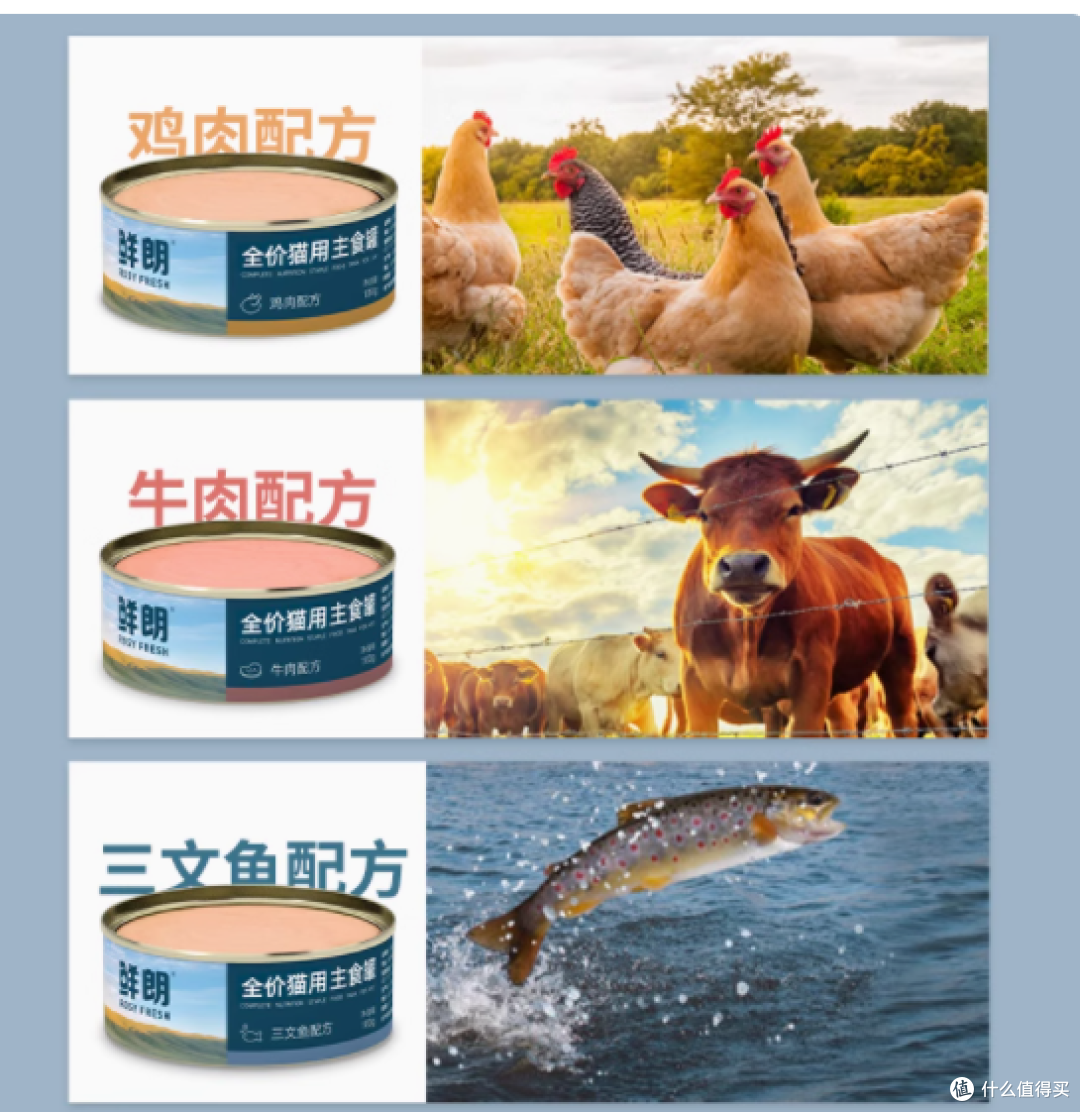 宝藏猫罐鲜朗,铲屎官必入!