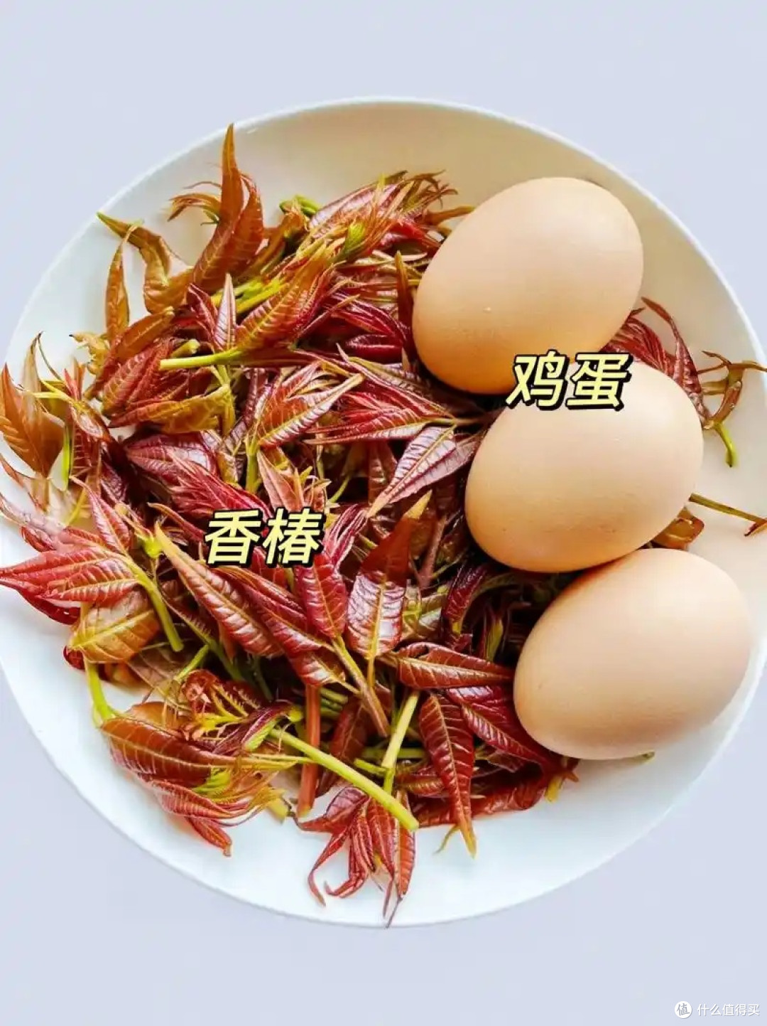 春季限定食材,椿芽