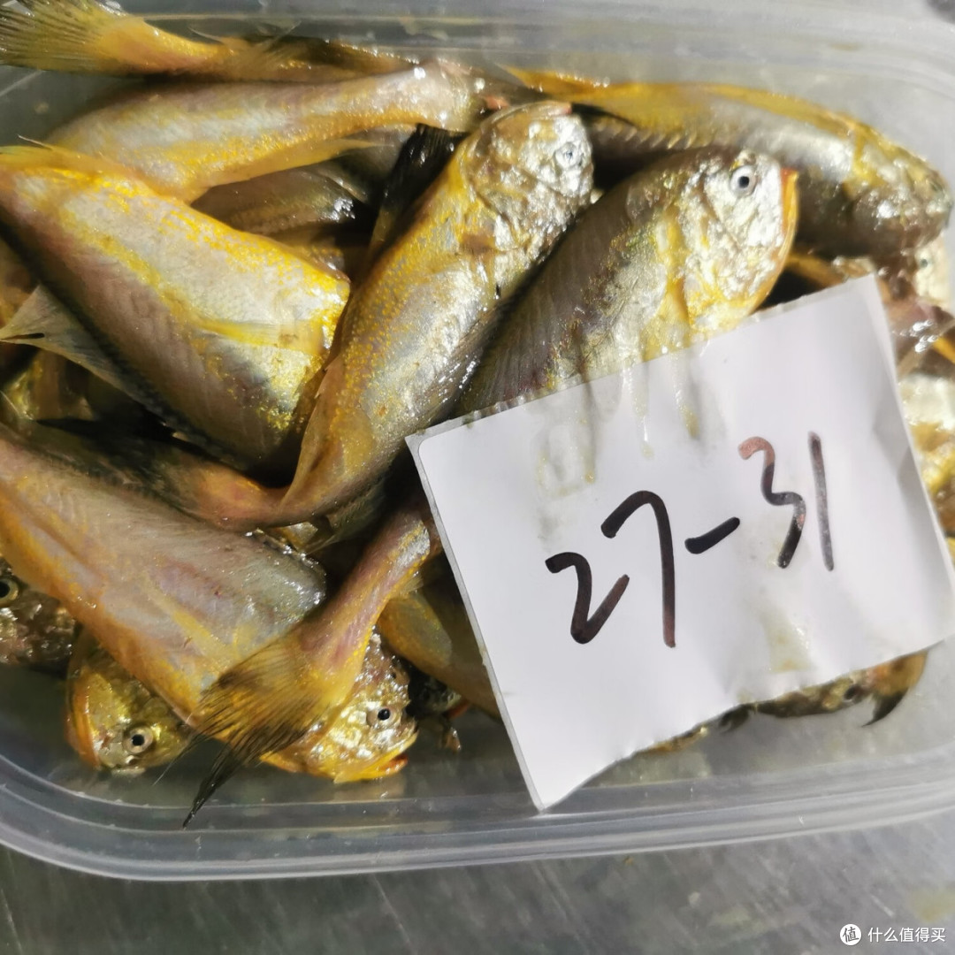 梅子鱼和小黄鱼的区别，哪种好吃？