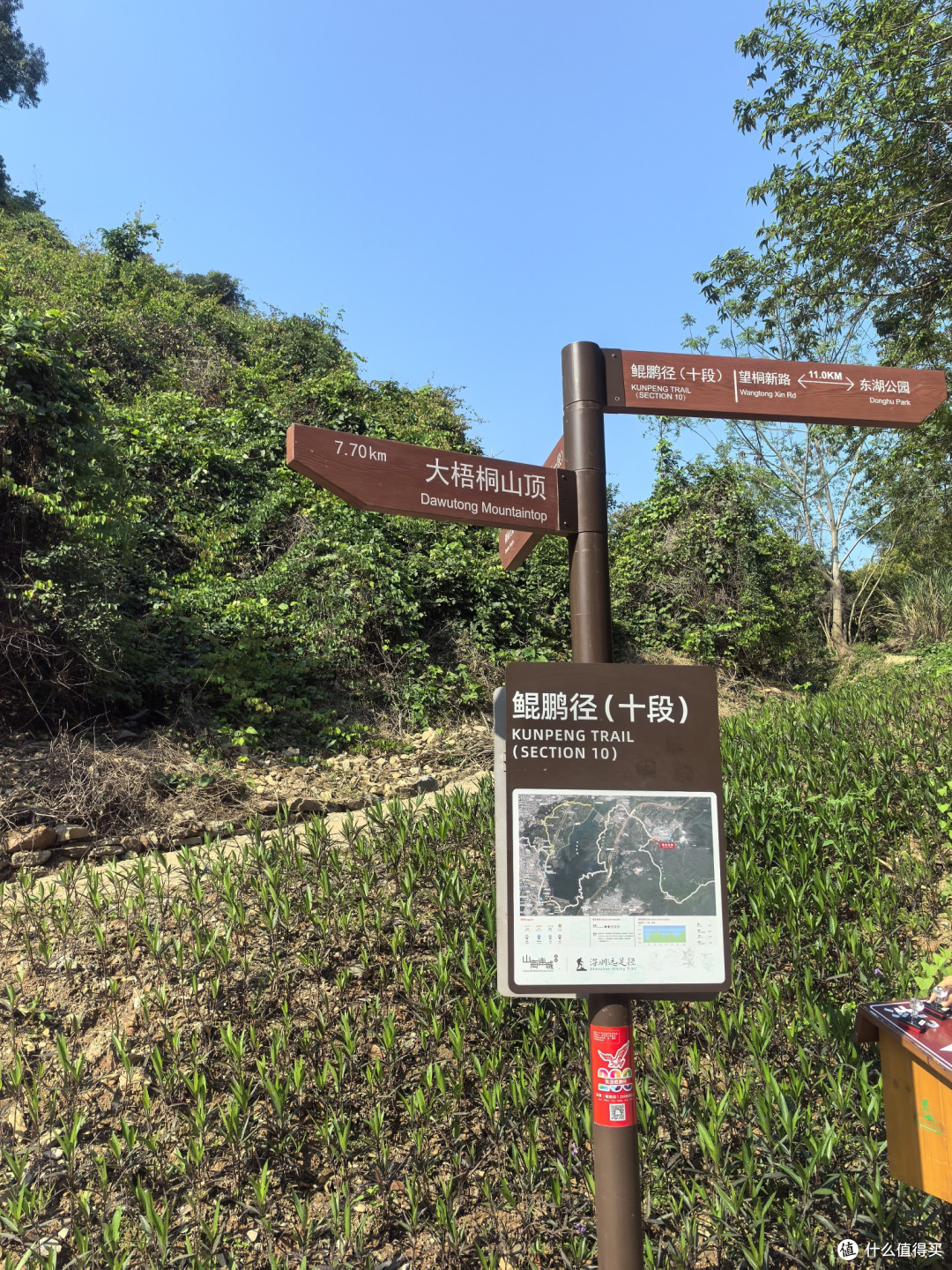 鲲鹏径十一段登上梧桐山