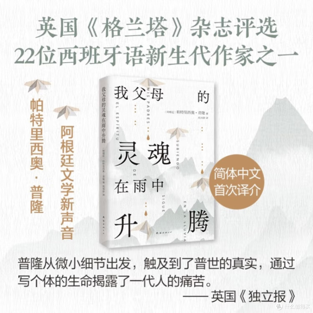 雨中灵魂:拉美文学新声