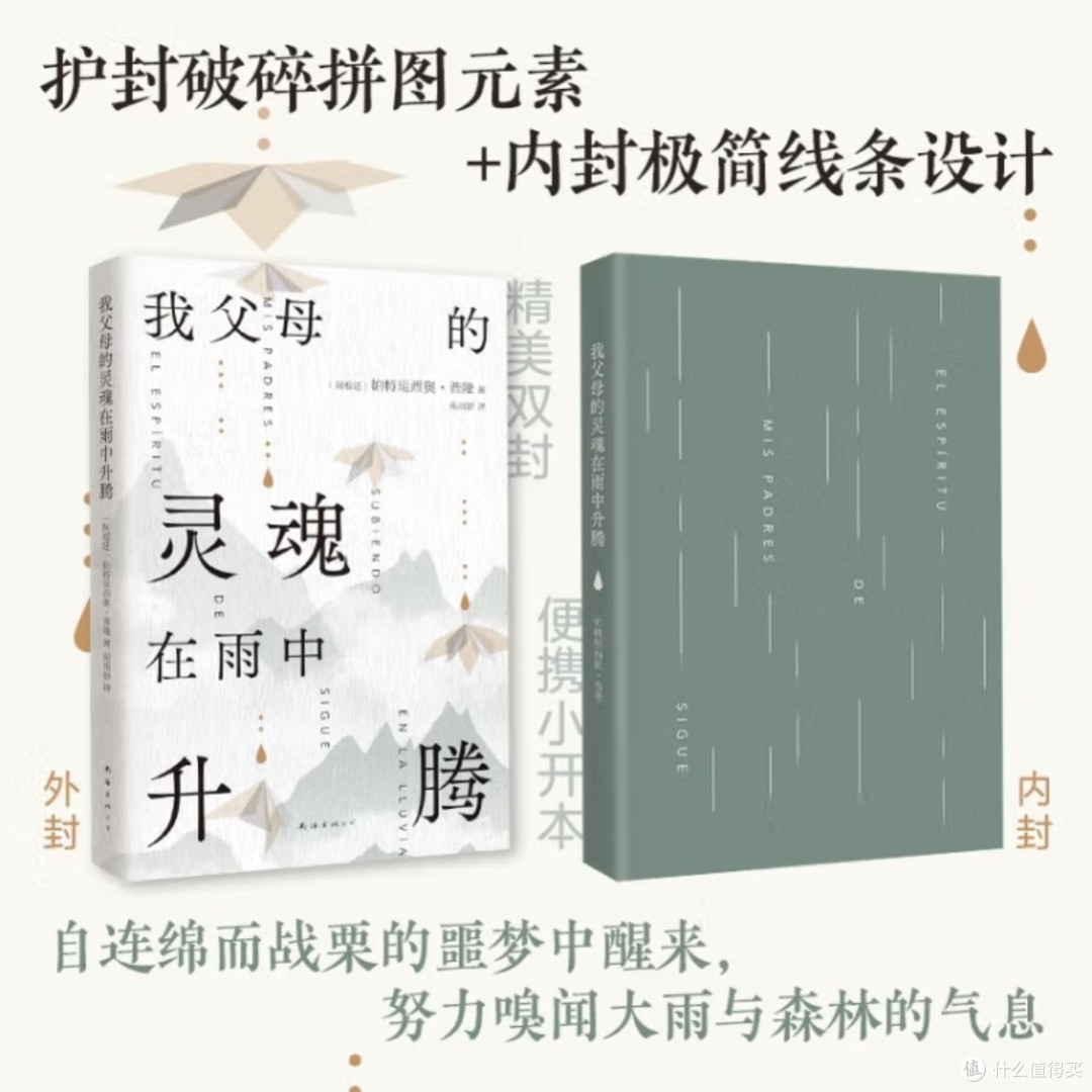 雨中灵魂:拉美文学新声
