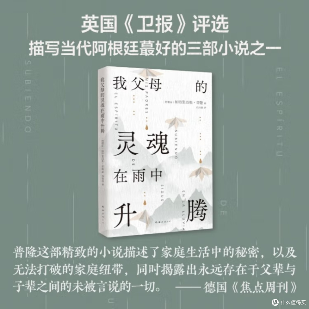 雨中灵魂:拉美文学新声