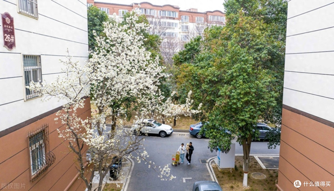 三四线楼市，要提前做好心理准备了