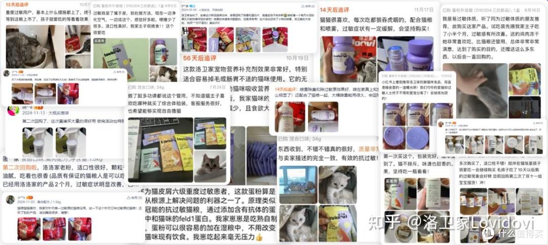 猫毛过敏症状减轻65%,早研究猫过敏原的品牌之一洛卫家