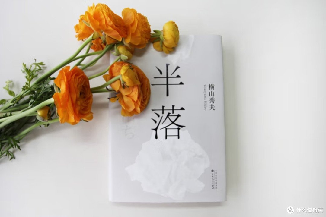 半落:探寻未竟之事