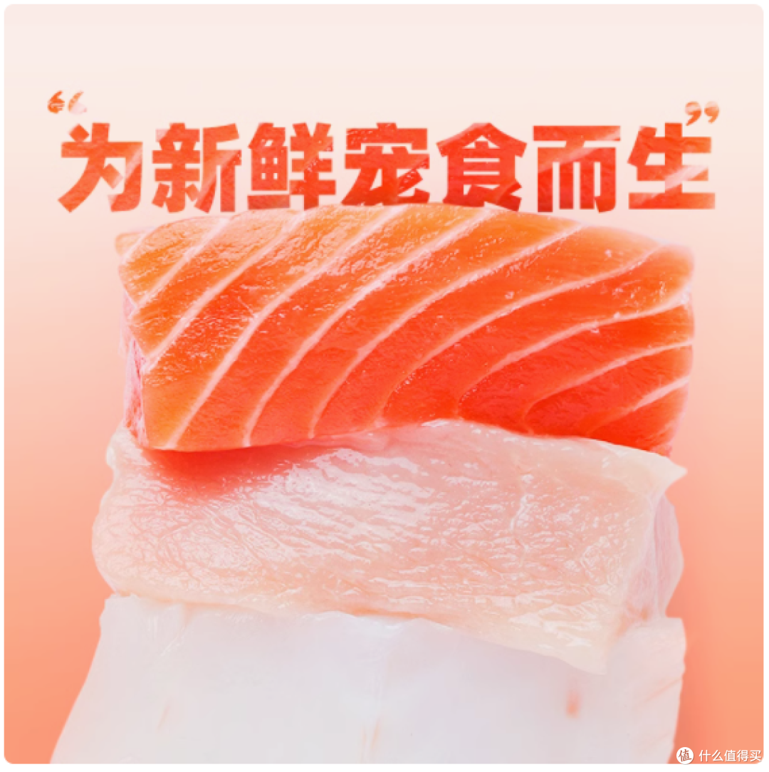 鲜朗猫罐头:幼猫成猫的湿粮优选