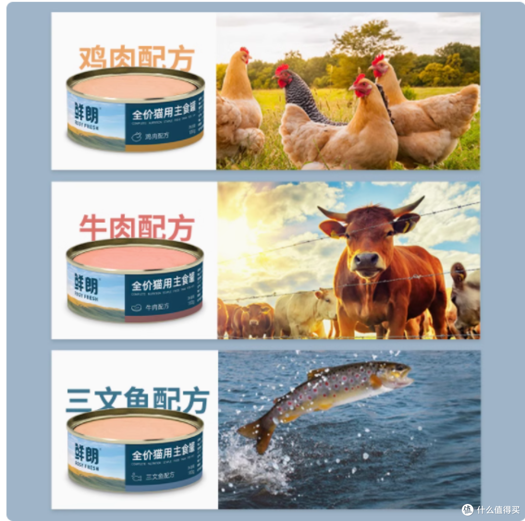 鲜朗猫罐头:幼猫成猫的湿粮优选