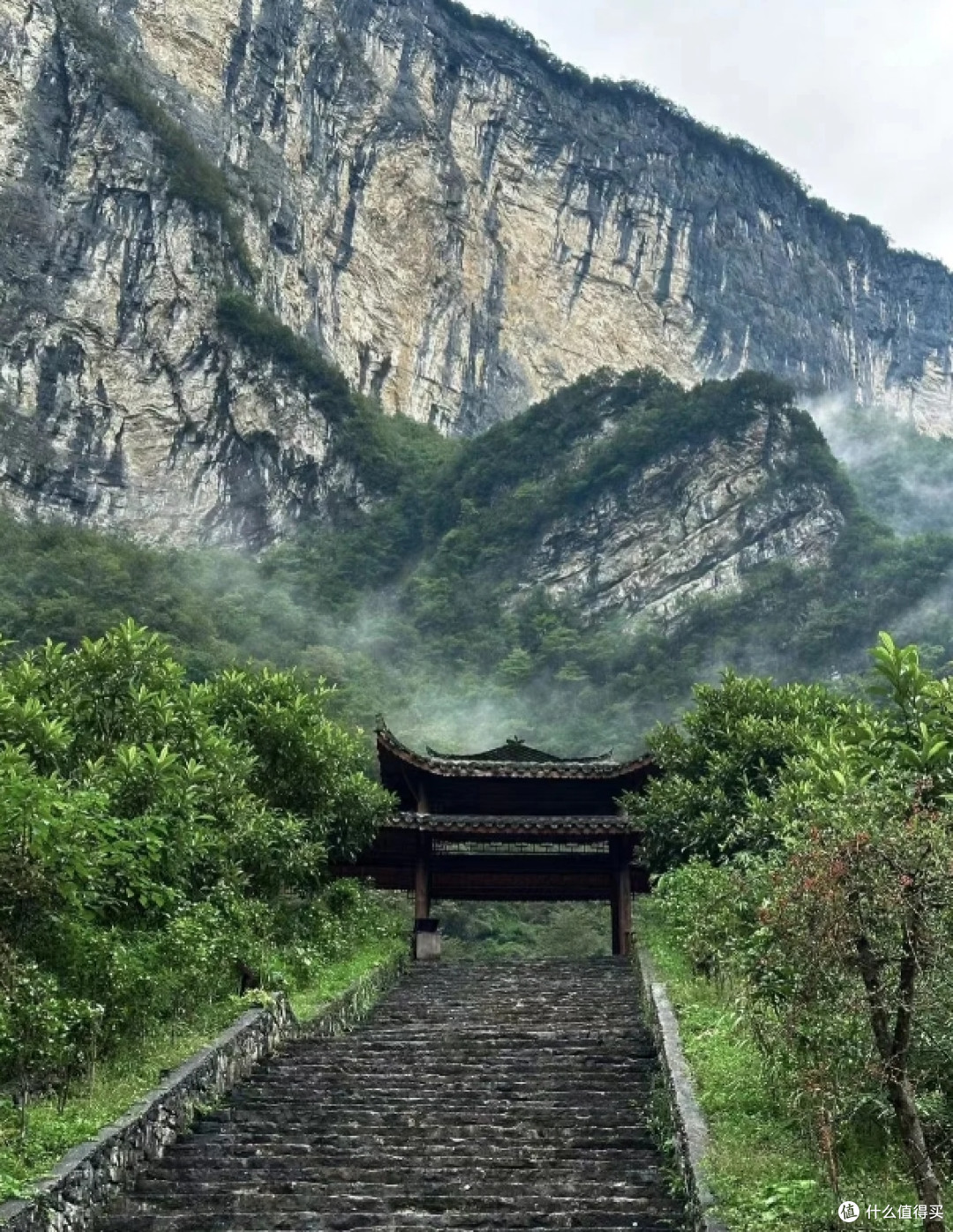 4月初!恩施+神农架+三峡旅游攻略