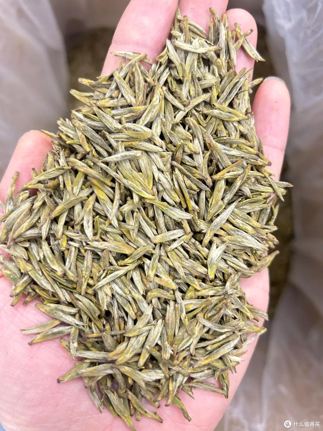 西南十大名茶,到西南地区必买的10种名茶,最出名的十大名茶