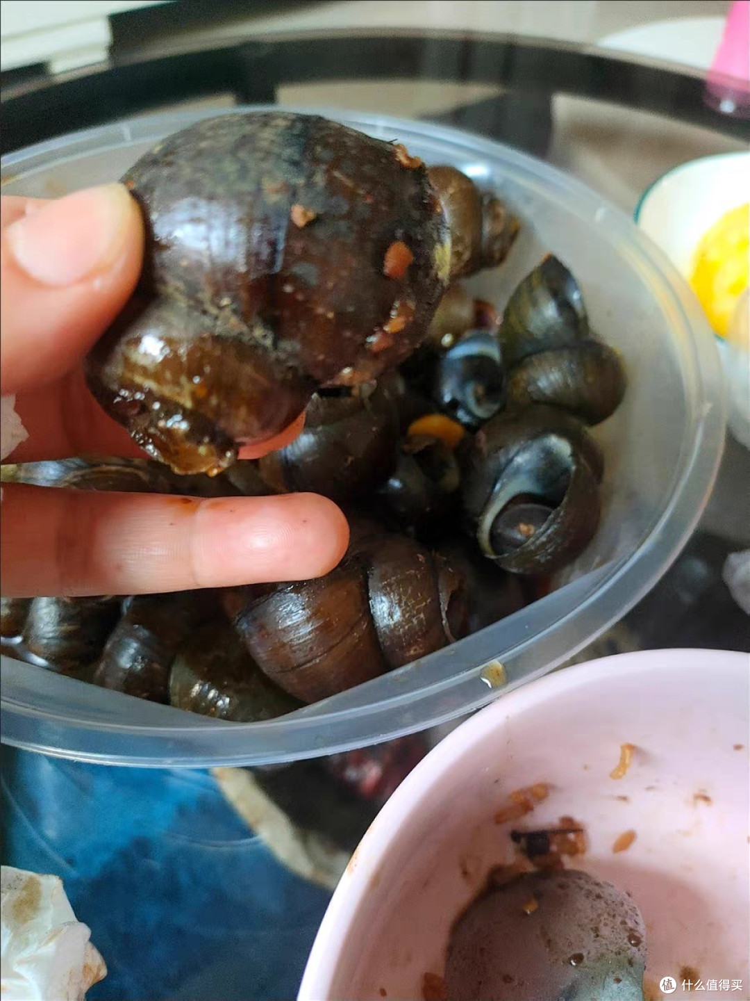 清明时节正是吃田螺的好时候