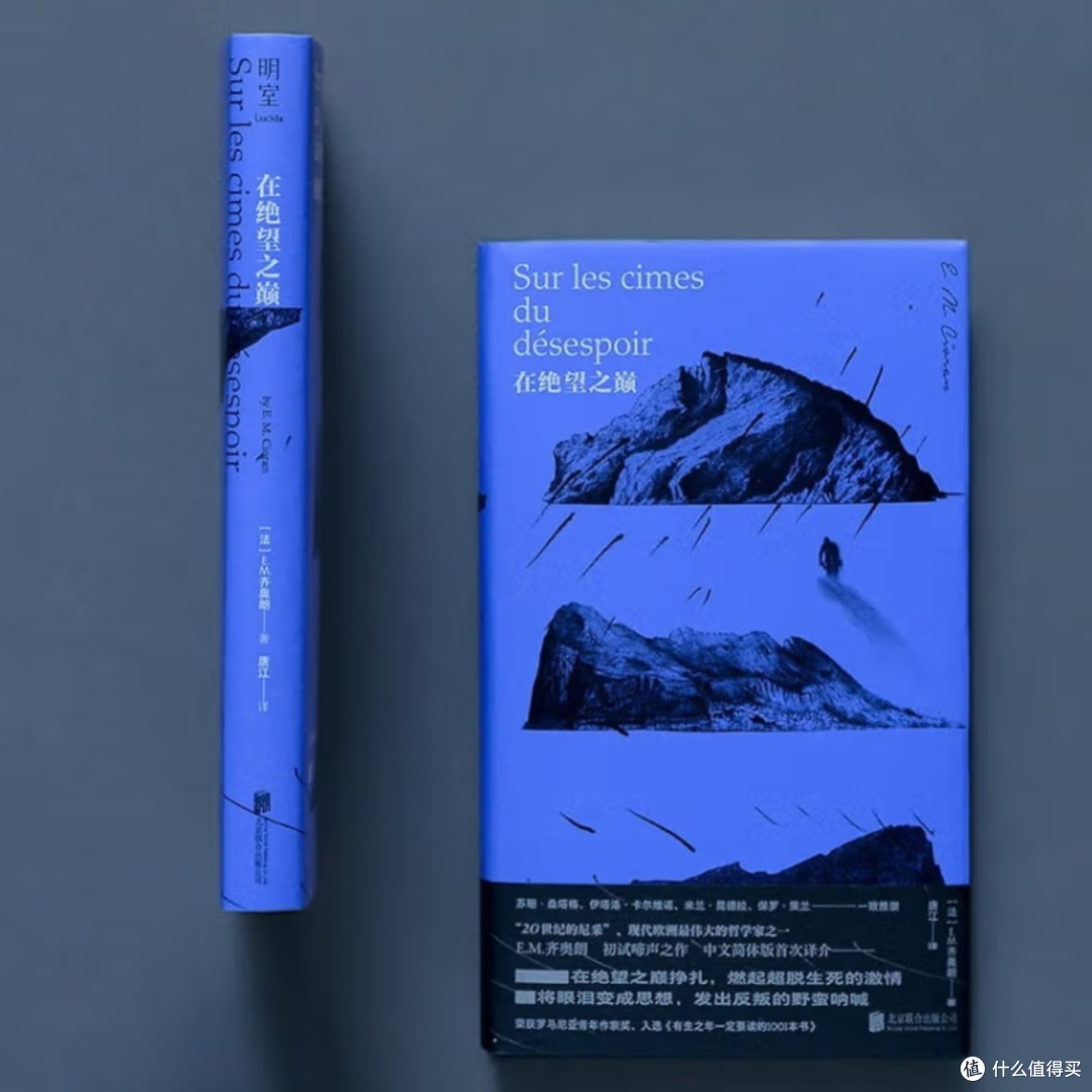 齐奥朗虚无主义哲学初探_哲学宗教_什么值得买