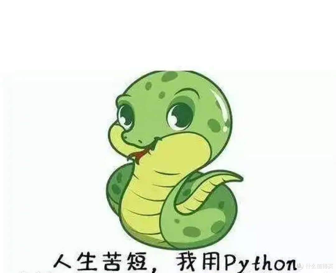 2025职场跃迁密码：零基础解锁Python数字超能力