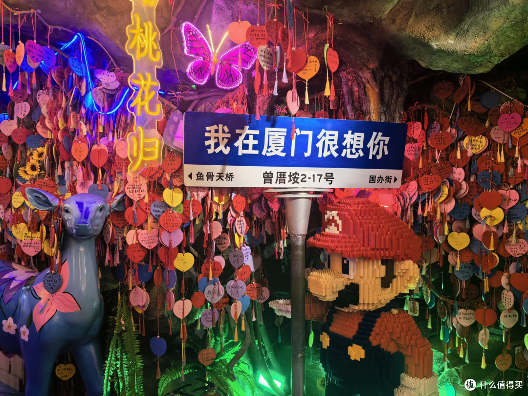 厦门旅游：探索海滨风光