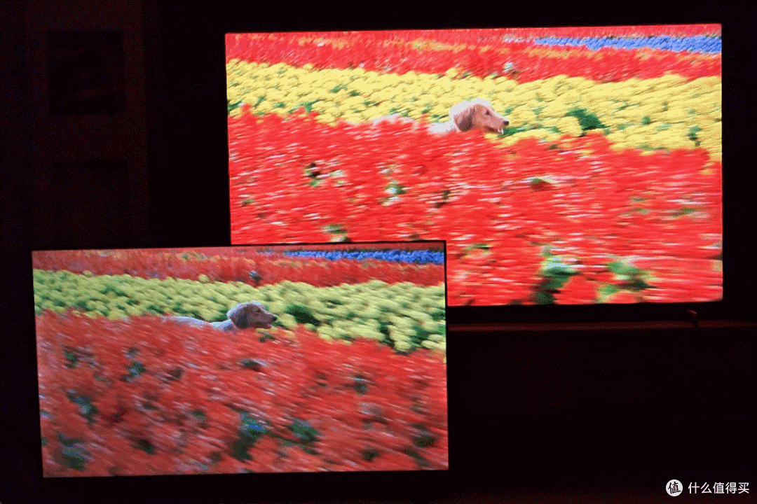 TCL Q10L【首发测评】:25 年高端画质标杆?