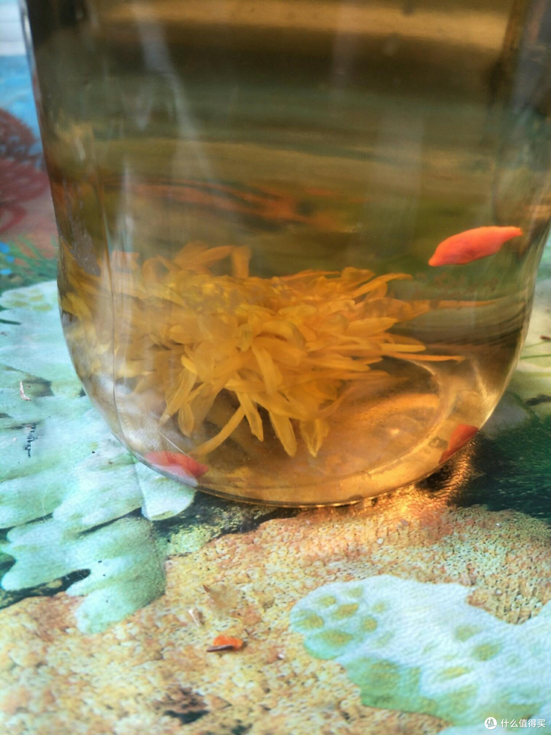 清明养生不迷茫！草药搭配超在行