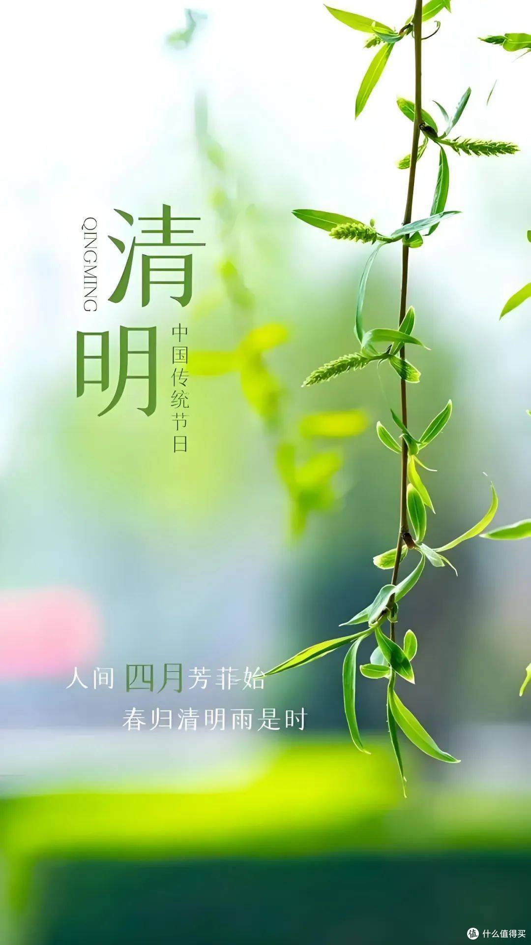 不负春光不负车,HERZI汽车膜为爱车打造安全舒适空间!