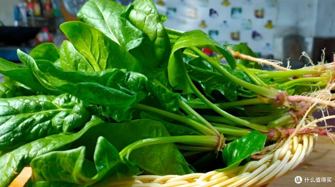 美食养生之道，你get了吗？