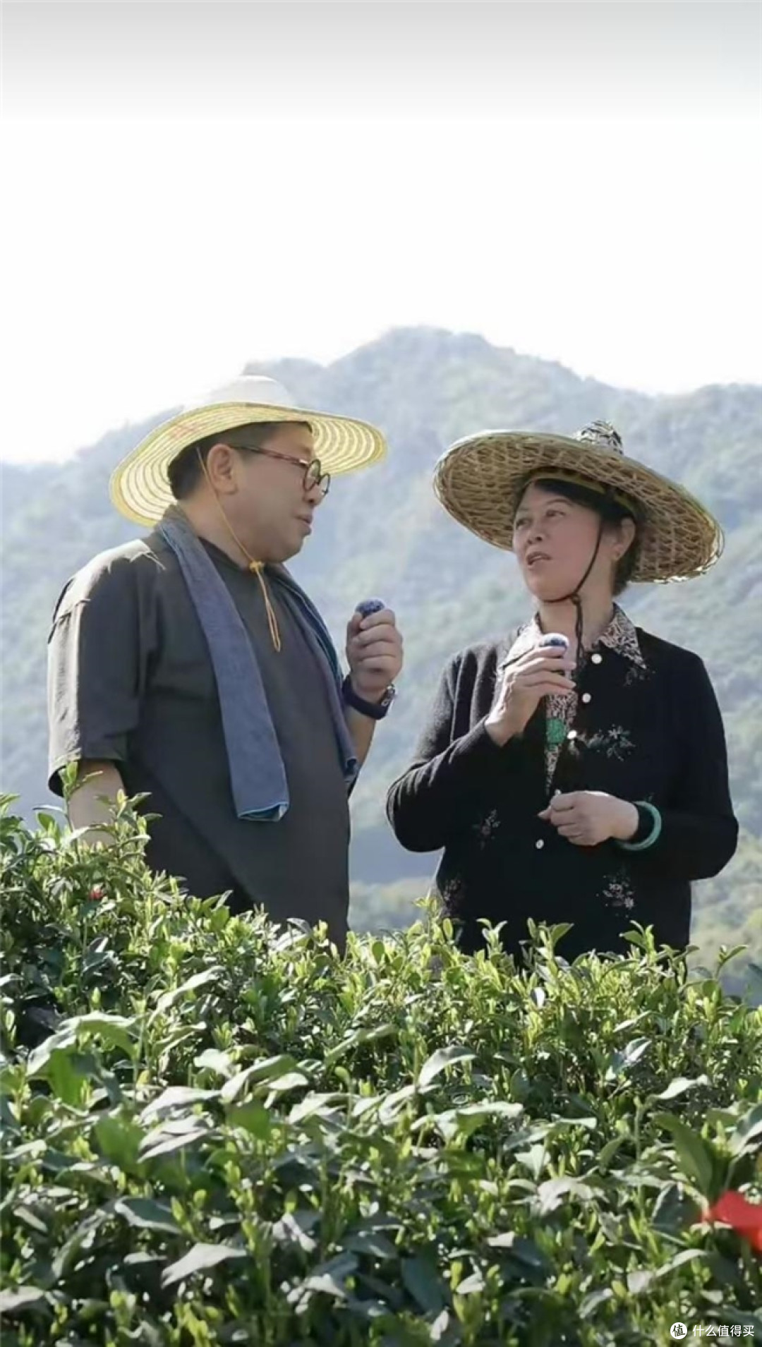小罐茶创始人杜国楹开直播承诺100%保真,小罐茶是真敢!