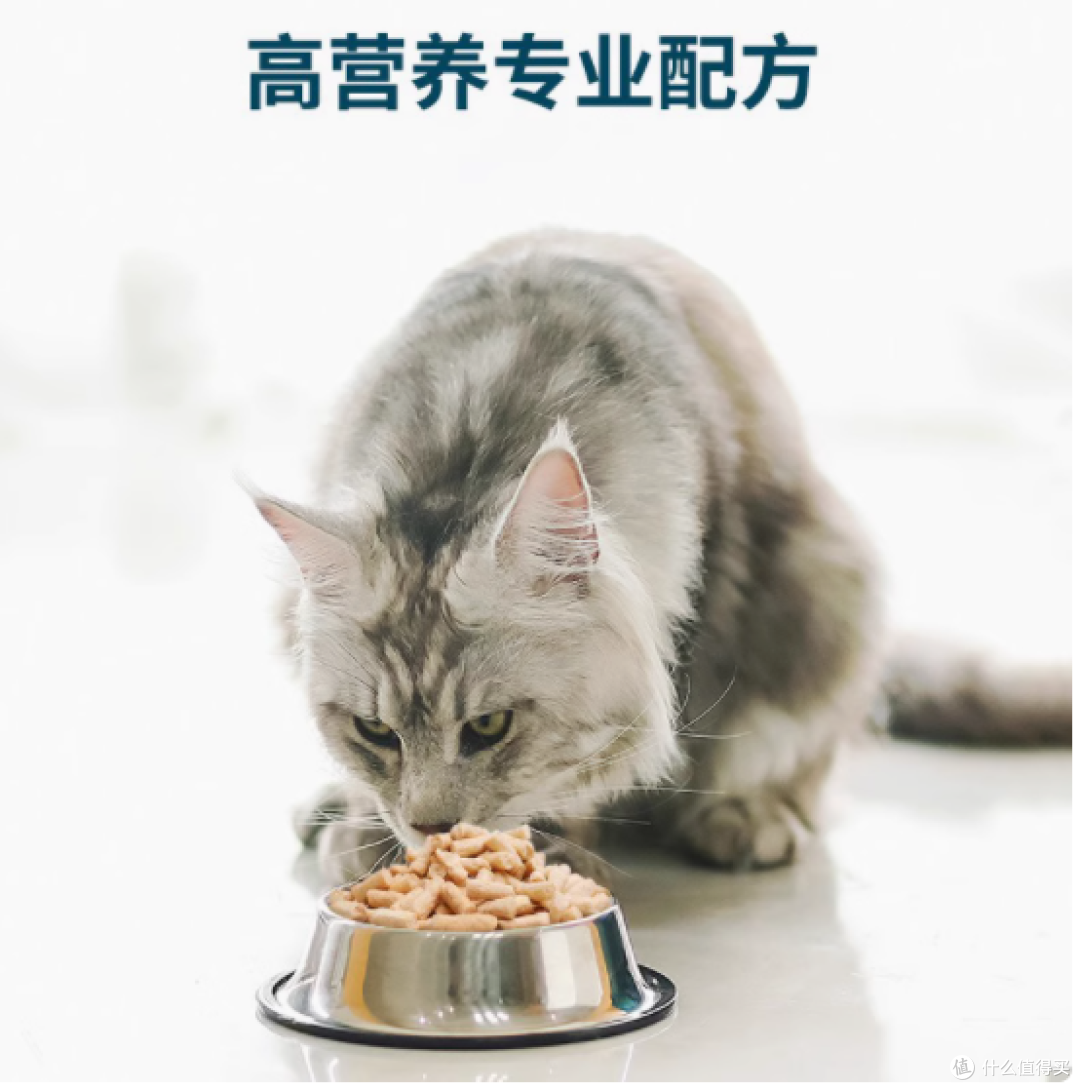 鲜朗冻干生骨肉试吃装:猫咪的美味新宠