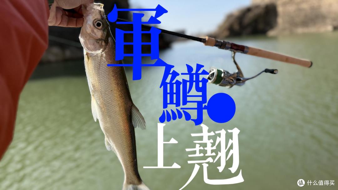总算找到一款价格便宜,抛投舒适的国产“大鳟竿”了,VIB神竿。