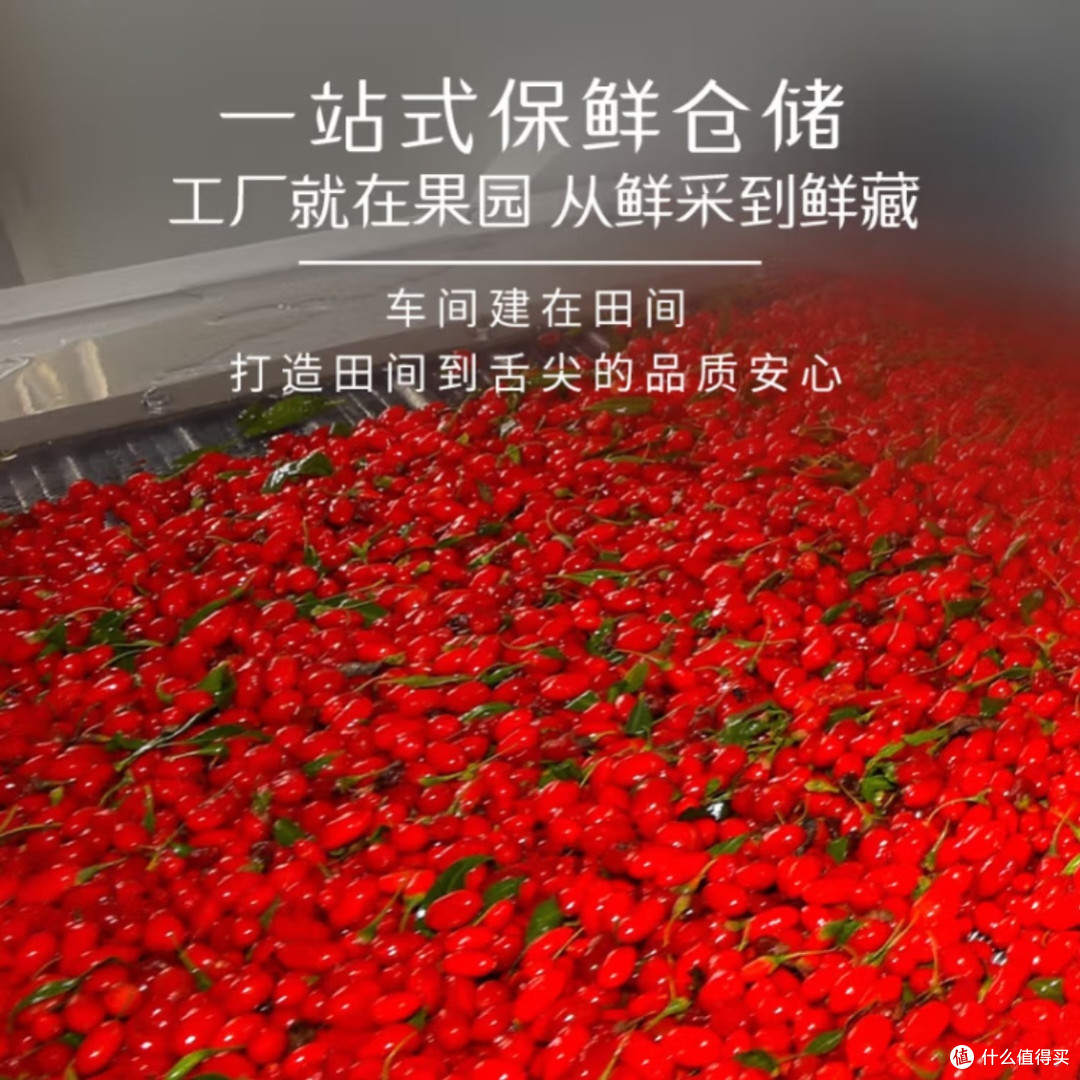 宁夏特级红枸杞500g头茬免洗