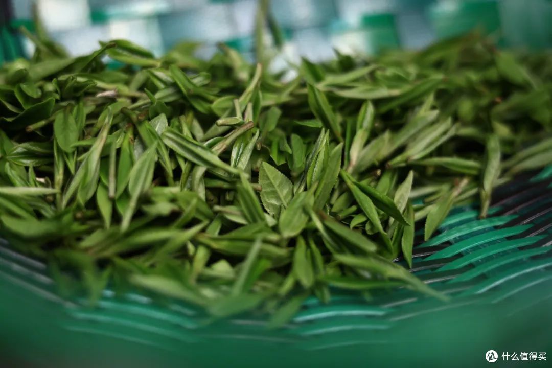 被央视偷拍的河北茶!这9款南方根本喝不到