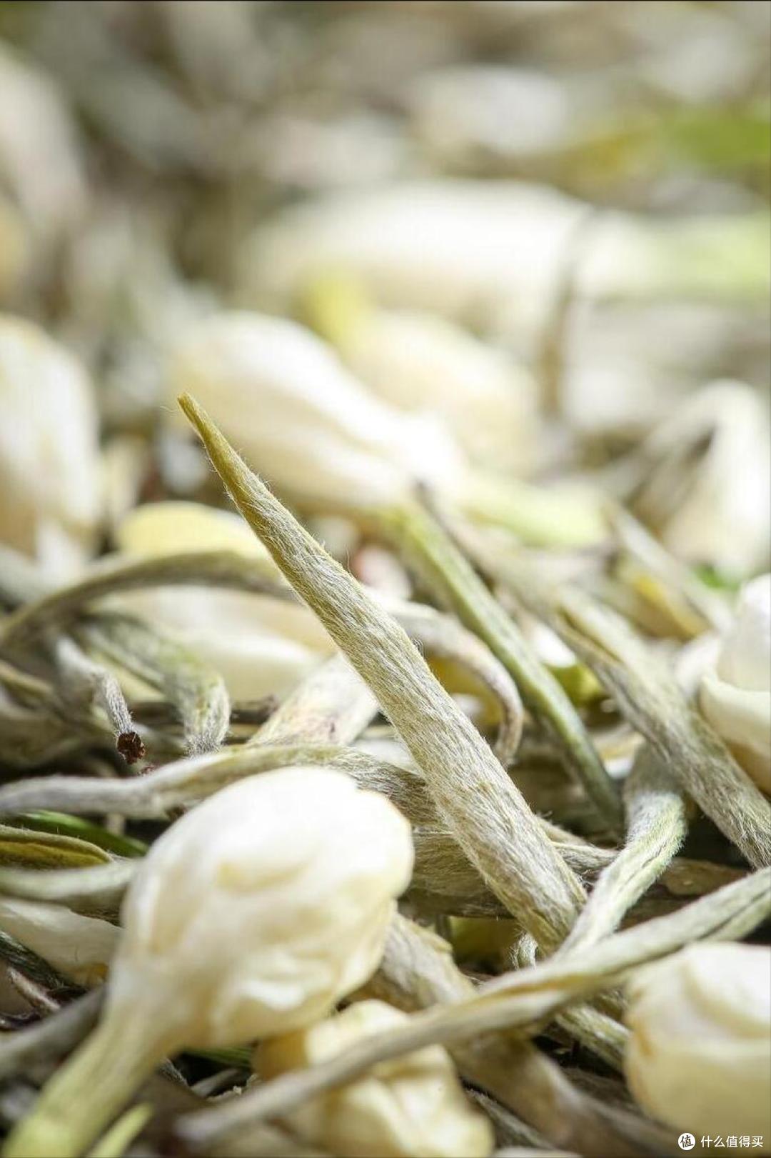 被央视偷拍的河北茶!这9款南方根本喝不到